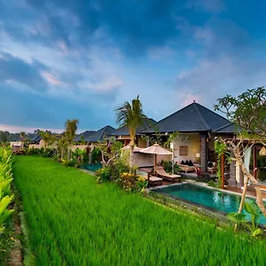 https://bliss-bungalow.ubudhotelsnow.com